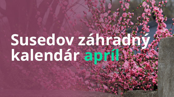 susedov-kalendar-april
